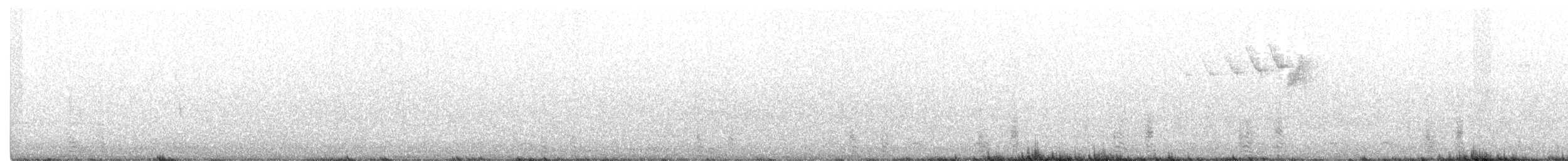 Широконіска північна - ML345291071