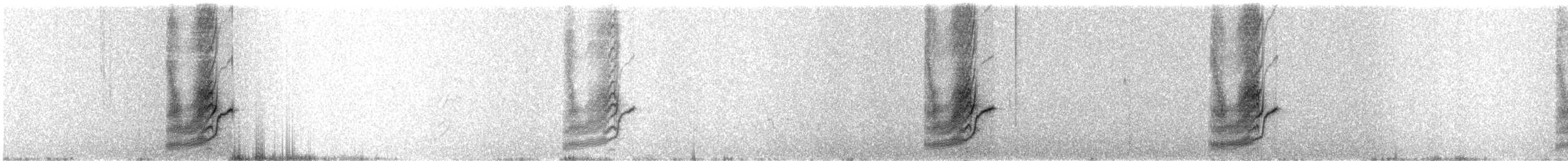 Spotted Towhee (Socorro) - ML345334961