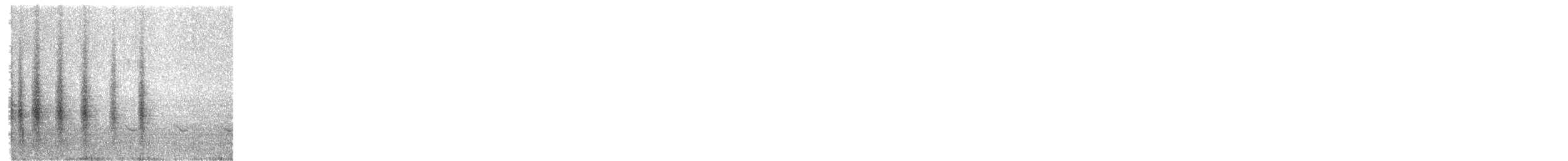 Troglodyte de Socorro - ML345335491