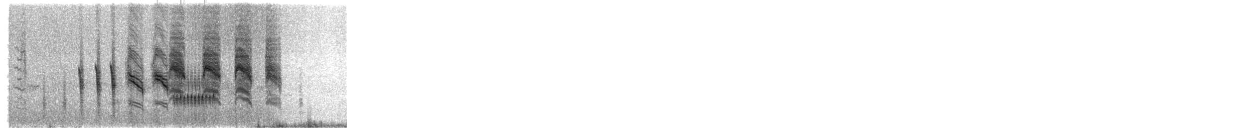 Troglodyte de Socorro - ML345335561