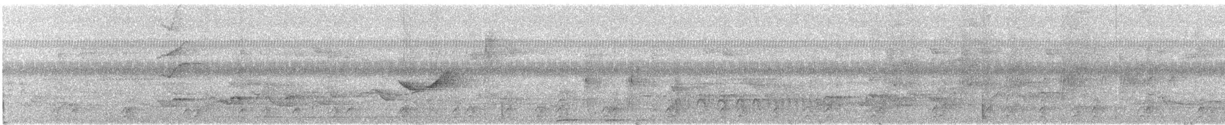 Toucanet émeraude (groupe prasinus) - ML345345401