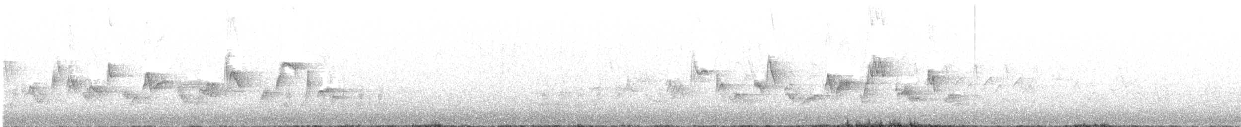 Western Warbling Vireo - ML345454451