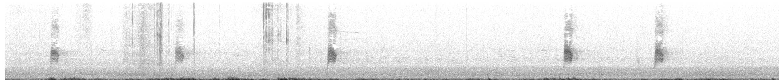 Antillennachtschwalbe - ML345538971