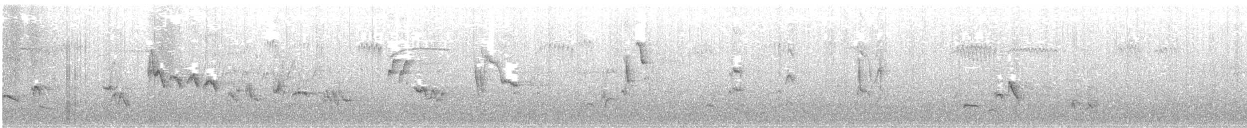 Moqueur chat - ML345549151