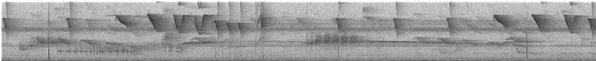 Речной колибри-отшельник - ML345550651