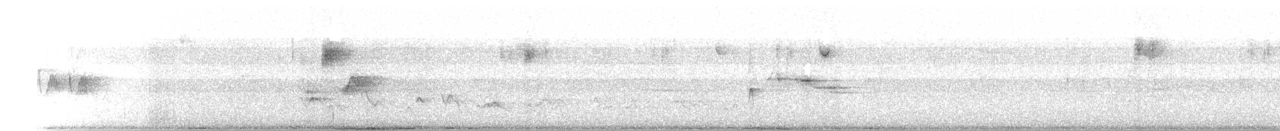 Kuzey Sorguçlu Sinekkapan (phaeocercus/tenuirostris) - ML345572951
