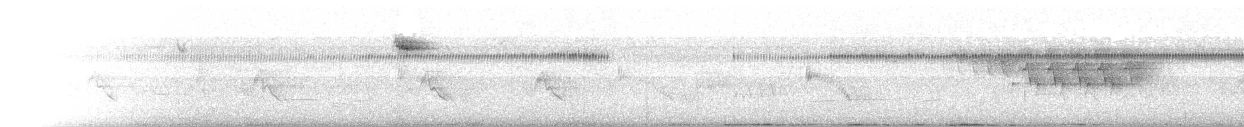 Geniş Kuyruklu Kolibri - ML345573611