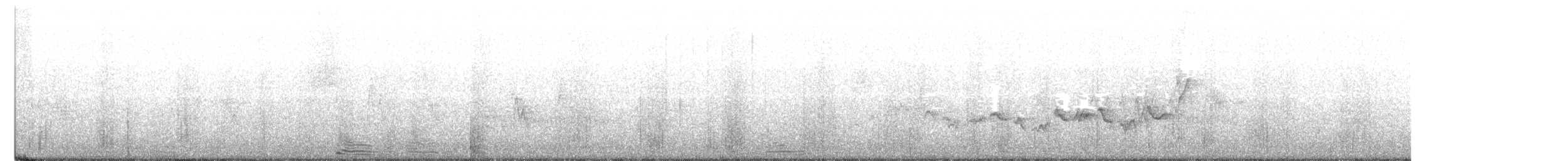 Віреон світлобровий (підвид gilvus) - ML345612991
