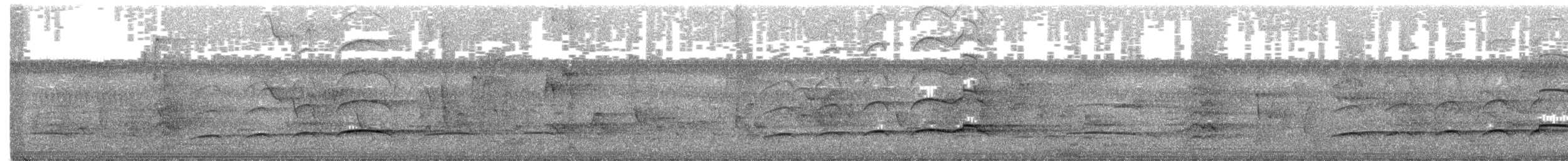 orel proměnlivý [skupina limnaeetus] - ML345618651