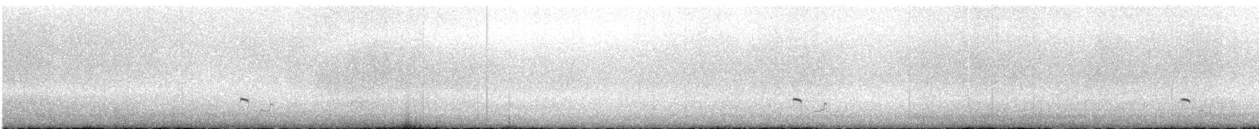 Pluvier siffleur - ML345625731