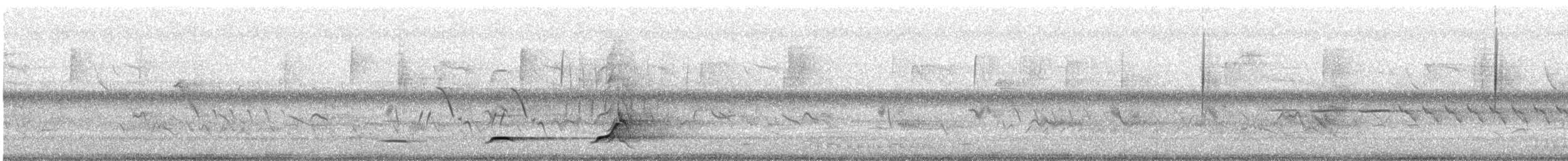 Colín de Virginia - ML345660121