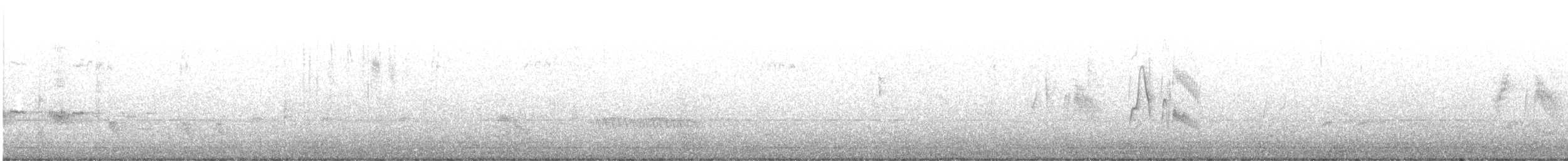 tyranovec vrbový - ML345668841