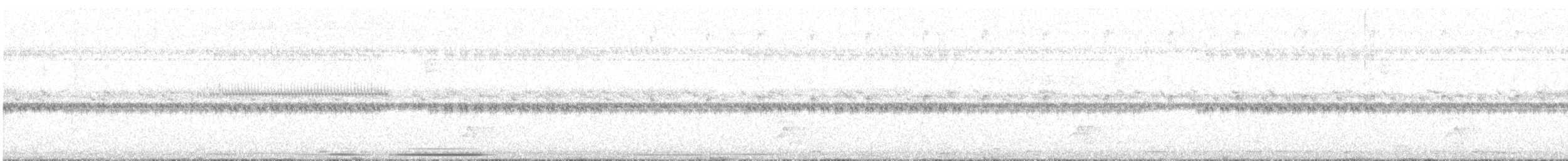 holub bledočelý - ML345773811