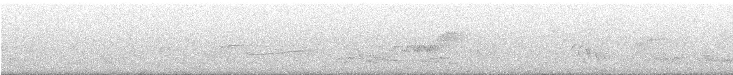 Cerulean Warbler - ML345789021