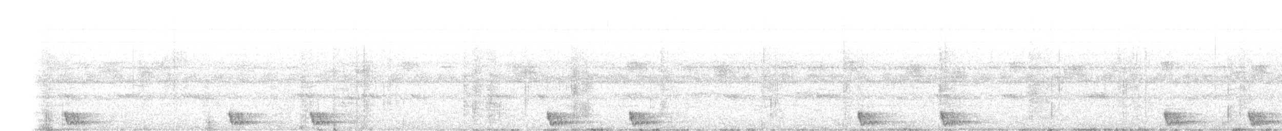Langschwanz-Nachtschwalbe - ML34581301