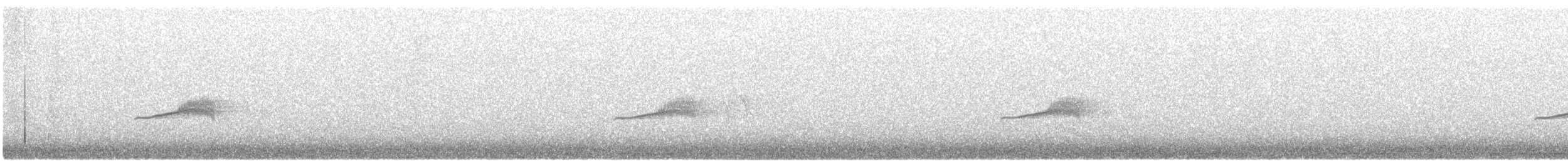 Western Wood-Pewee - ML345911741