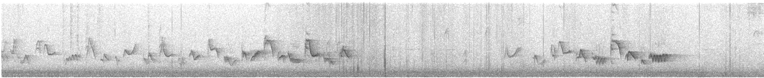 Western Warbling Vireo - ML345911781