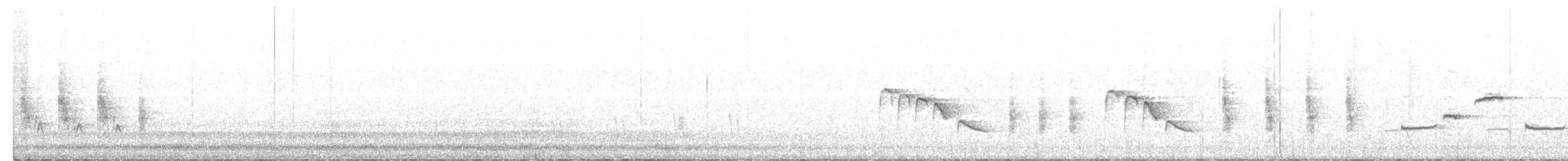 Blyth's Reed Warbler - ML345916811