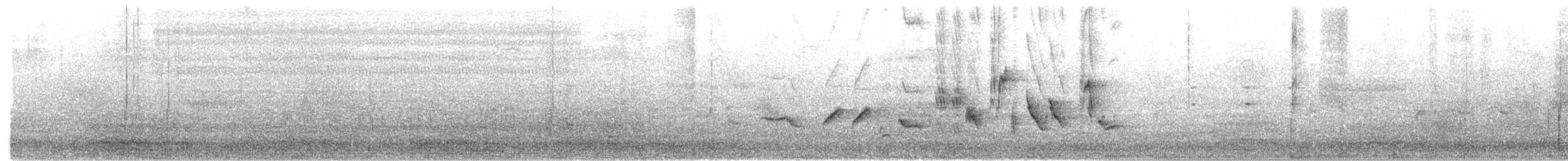 Oriole des vergers - ML345932071
