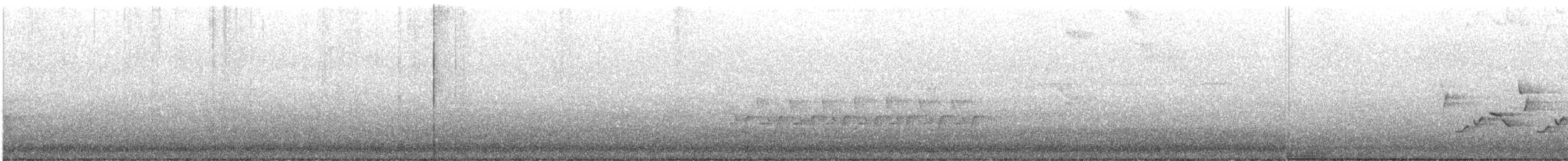 střízlík karolínský - ML345936631