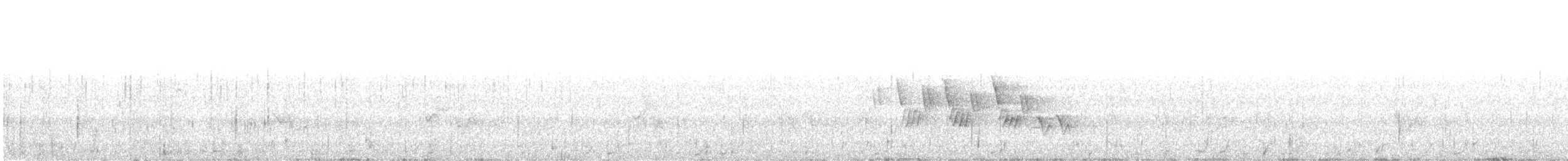svartbrystparula - ML345947231