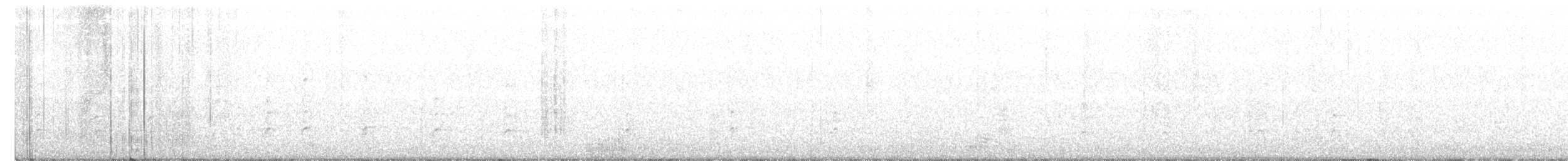 Black-necked Stilt (Black-necked) - ML346019461