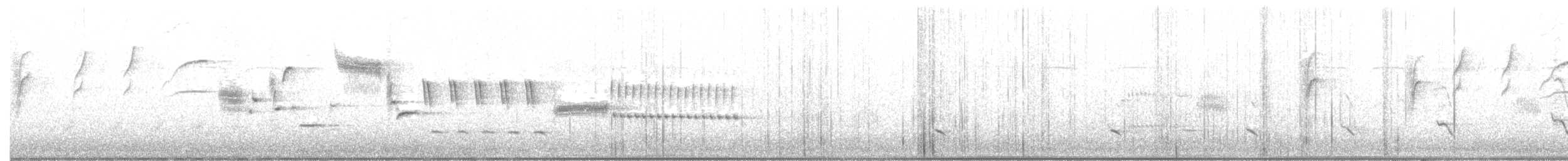 Troglodyte de Bewick - ML346036641