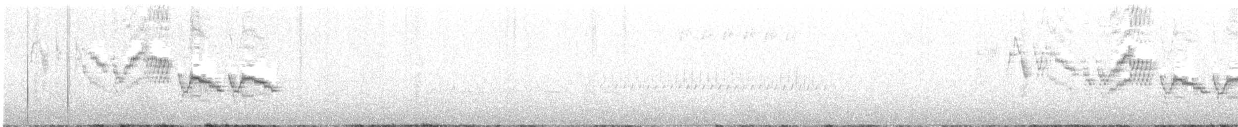 Bicknell Bülbül Ardıcı - ML346049671