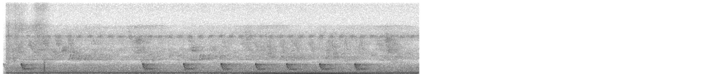 Large-tailed Nightjar - ML346085051