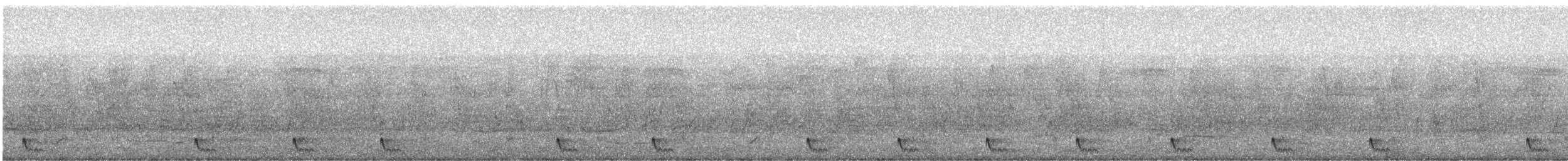 Large-tailed Nightjar - ML346086781