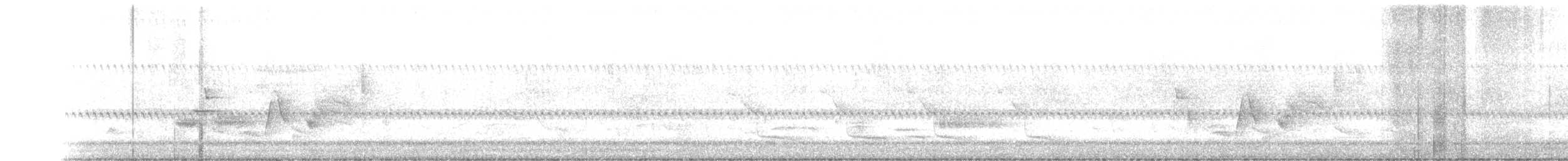 Vireo Ojiblanco - ML346094971