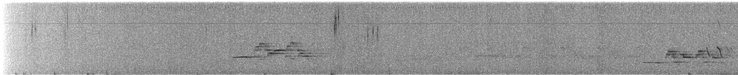 Дрізд-короткодзьоб плямистоволий - ML346106571