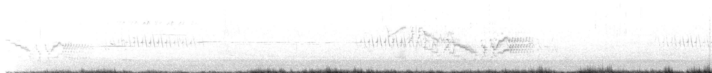 Дрізд-короткодзьоб канадський - ML346118501
