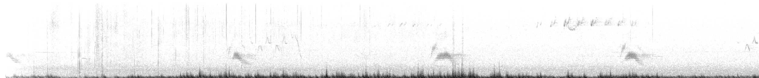 Дрізд-короткодзьоб канадський - ML346119871