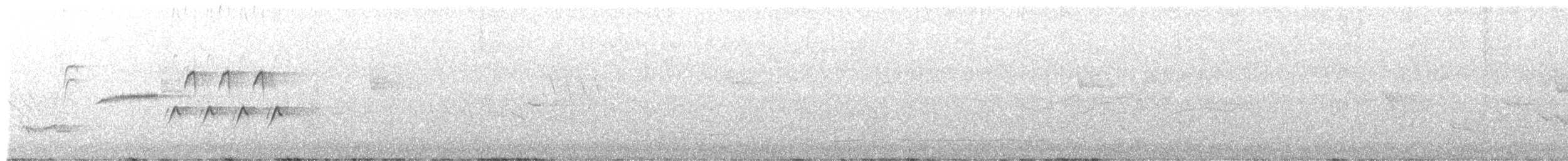 Bewick's Wren - ML346147871