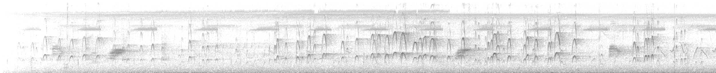 kvaespett - ML346155011