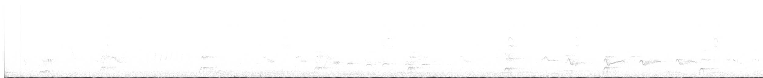 Polluela de Tongatapu - ML346166781