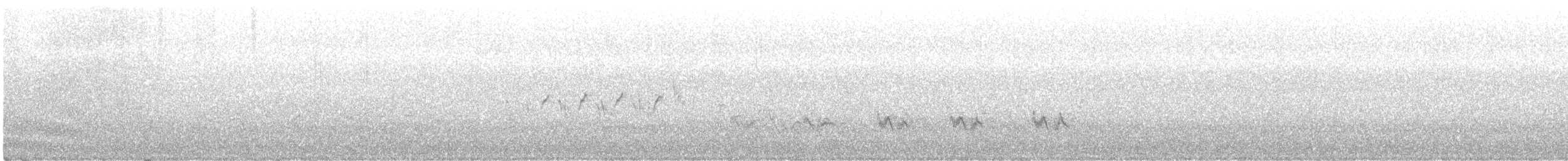 Western Tanager - ML346172091