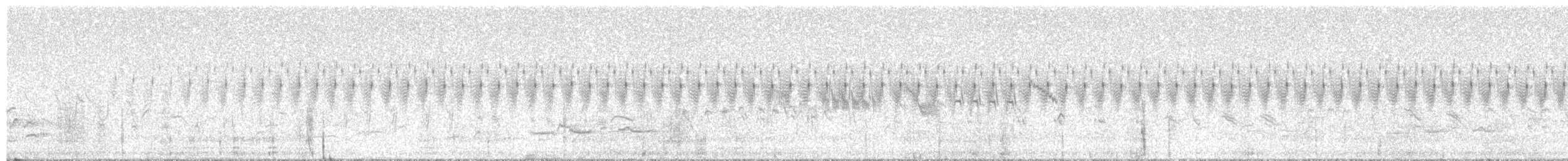 River Warbler - ML346213621