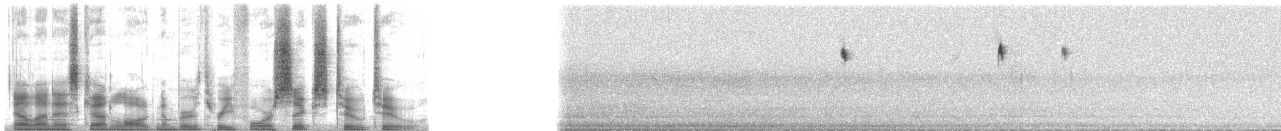 ホオアカアメリカムシクイ - ML34622