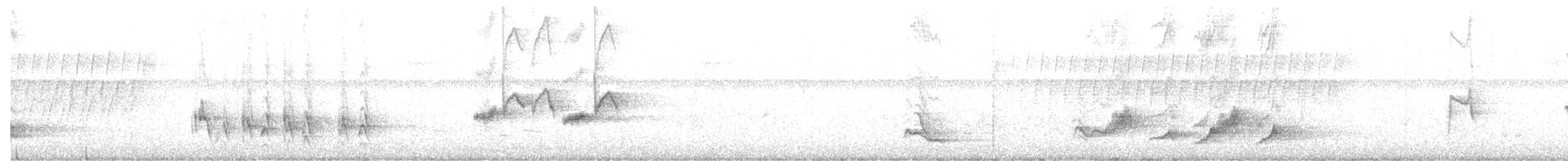 Brown Thrasher - ML346239231