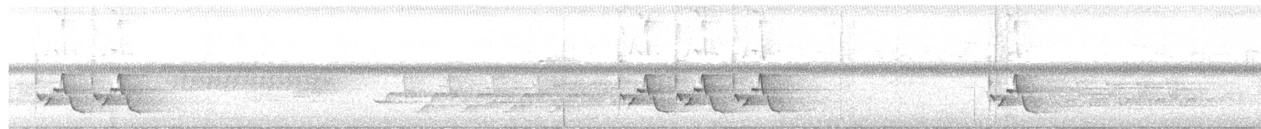 Поплітник каролінський - ML346241141