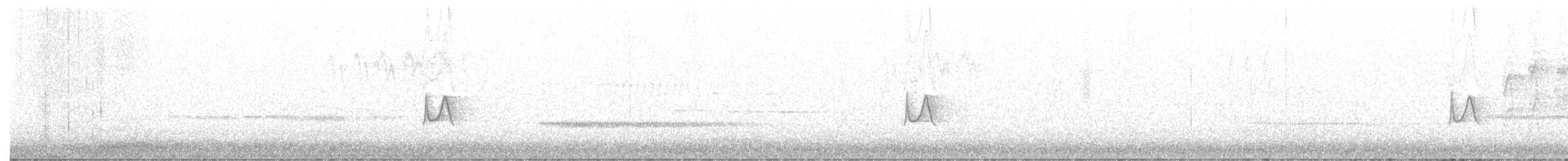 tyranovec olšový - ML346269691