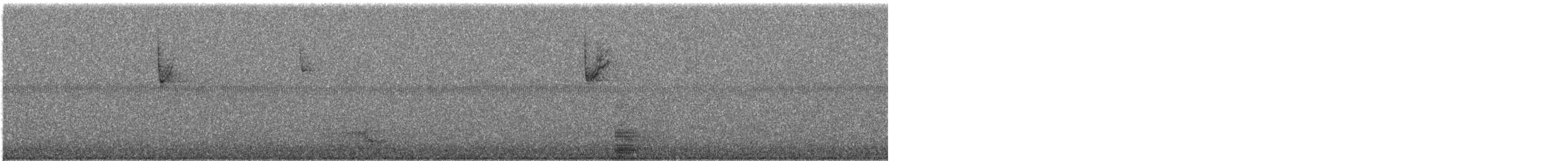 Sterne caspienne - ML34627131