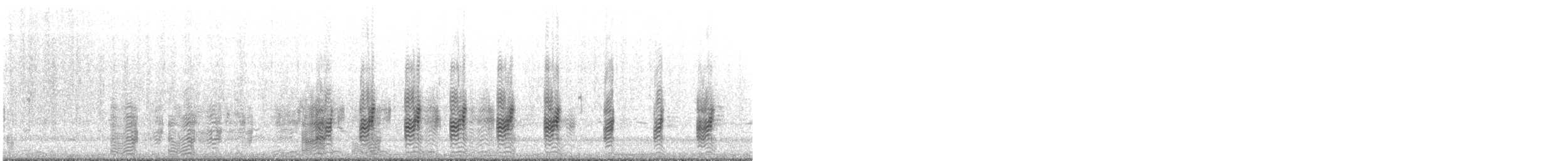 Ibis à face blanche - ML346271381