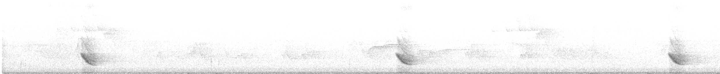 Дрізд-короткодзьоб бурий - ML346300941