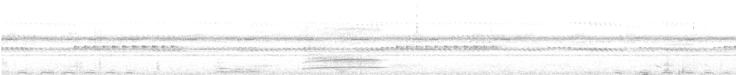 Chouette mouchetée - ML346315261
