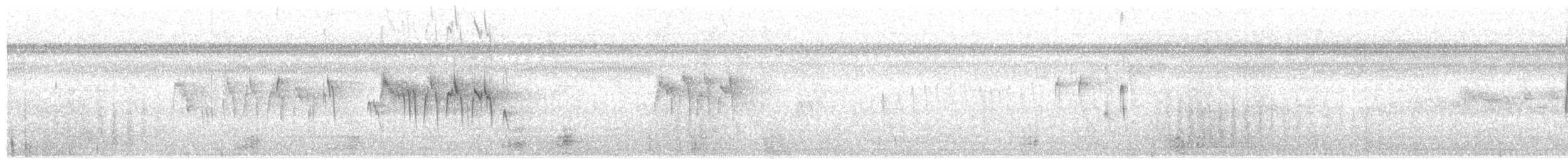コシジロハリオアマツバメ - ML346321591