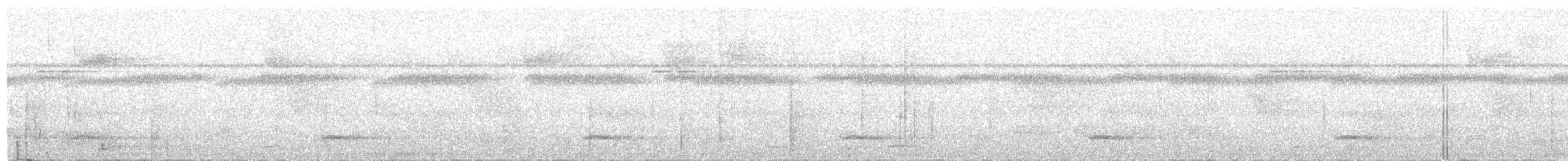 Тукан чорнодзьобий (підвид culminatus/pintoi) - ML346322431