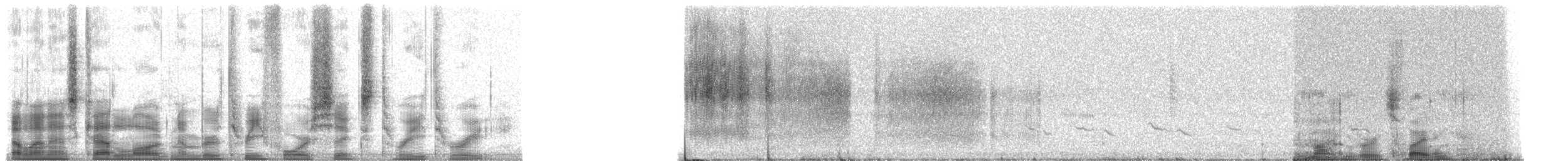 Sinsonte Norteño - ML34633